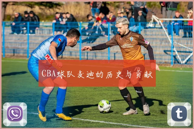 CBA球队麦迪的历史与贡献