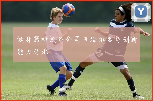 健身器材设备公司市场排名与创新能力对比