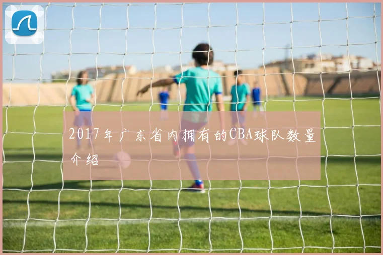 2017年广东省内拥有的CBA球队数量介绍