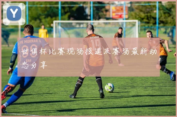 世俱杯比赛现场报道及赛场最新动态分享