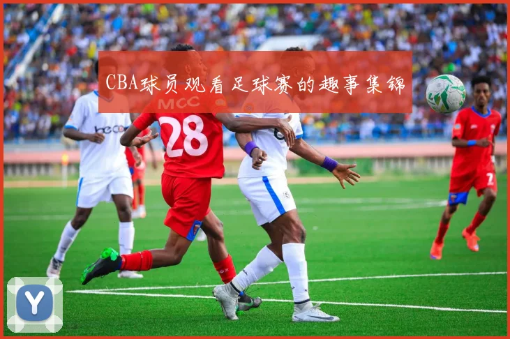 CBA球员观看足球赛的趣事集锦